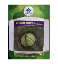 Cabbage / Patta Gobi Green Queen (Shine)